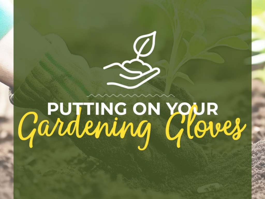 Gentle parenting with the mindset of a gardener