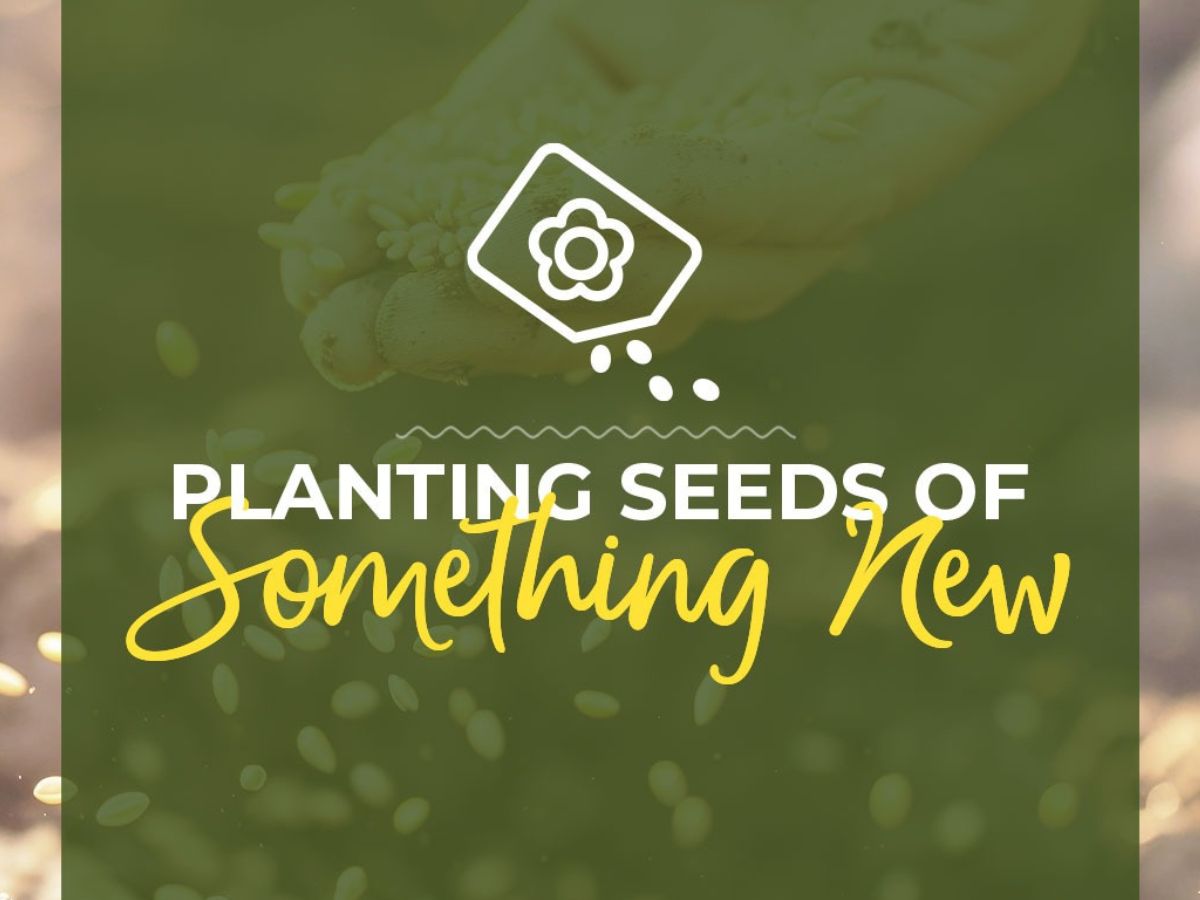 Parenting Book Recommendations for Planting Seeds of Something New