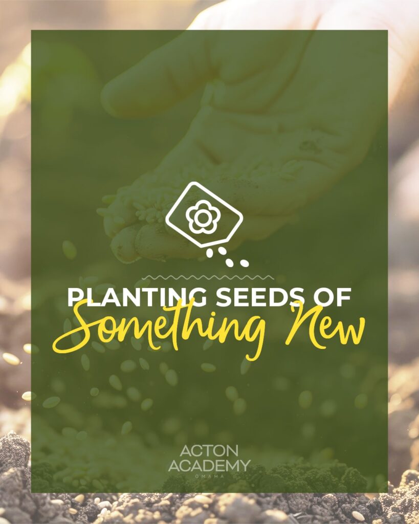 Parenting Book Recommendations for Planting Seeds of Something New